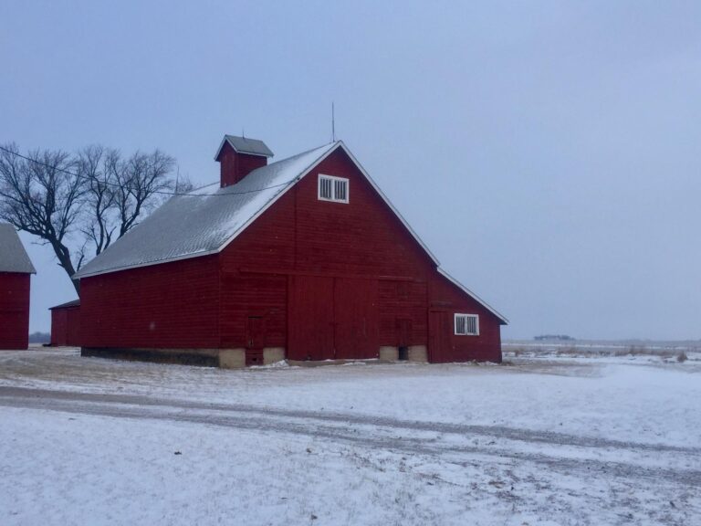 400 Acres - 7 Tracts-Tract 7 Barn-1514930540