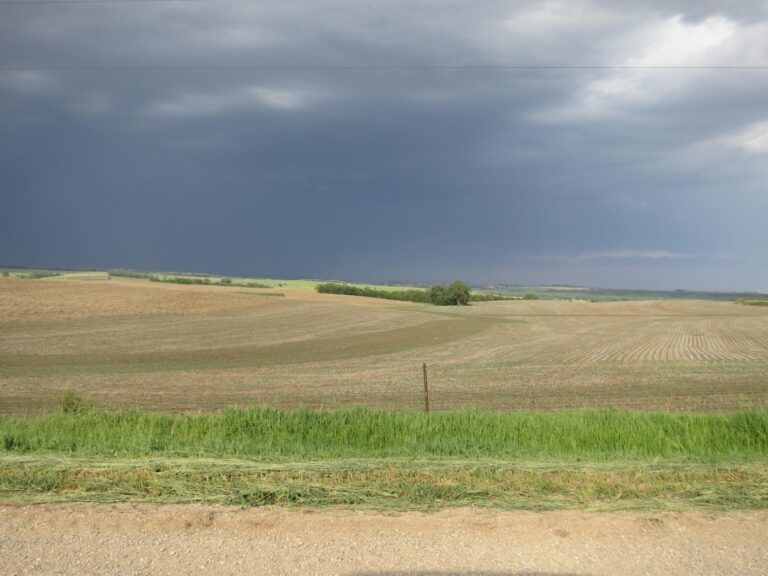 400 Acres-Field Landscape-1507151323