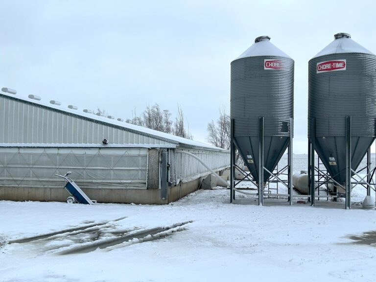 4000 Head Swine Facility and Acreage-Swine Facility-1742496865