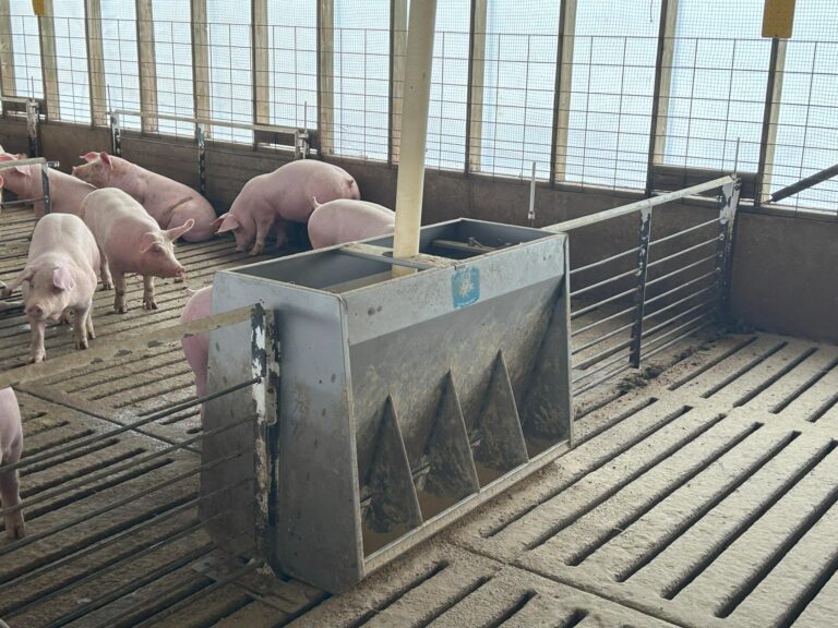 4000 Head Swine Facility and Acreage-Swine Facility-1742497119