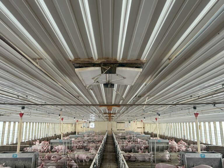 4000 Head Swine Facility and Acreage-Swine Facility-1742497453