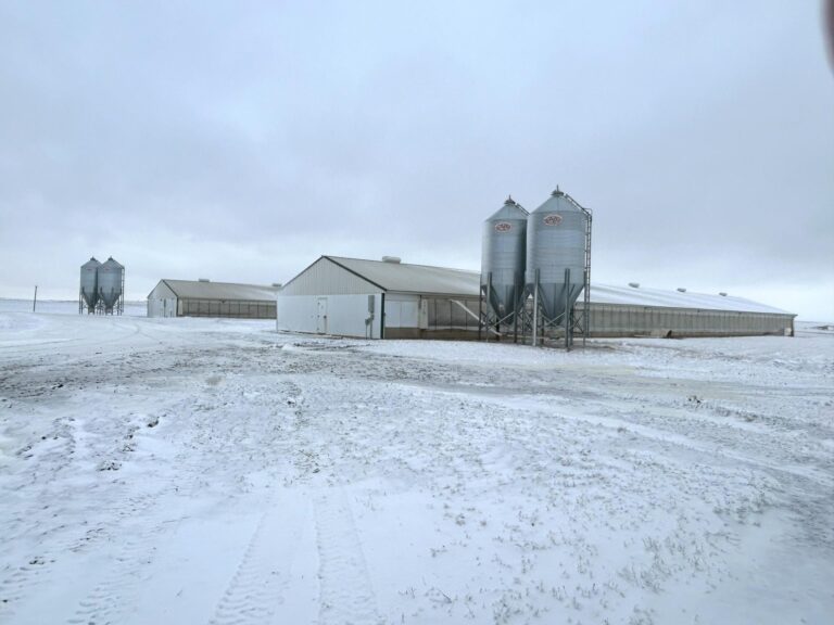 4000 Head Swine Facility and Acreage-Swine Facility-1742497659