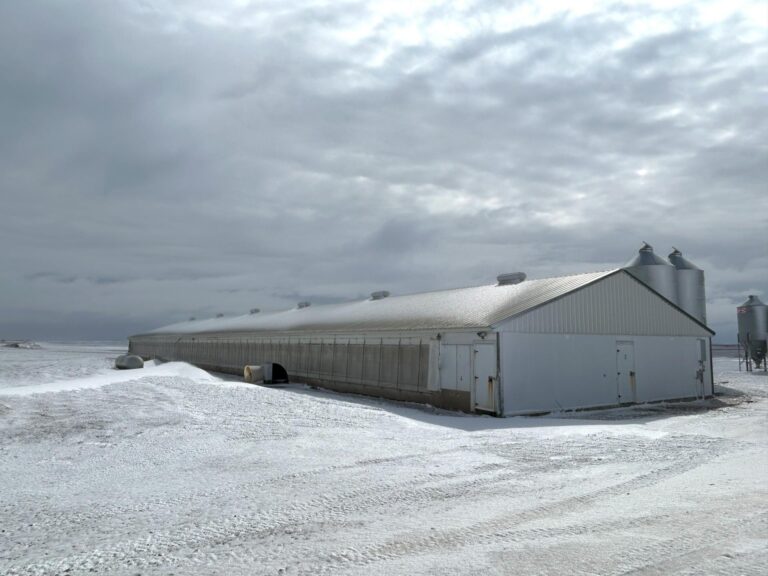 4000 Head Swine Facility and Acreage-Swine Facility-1742498805