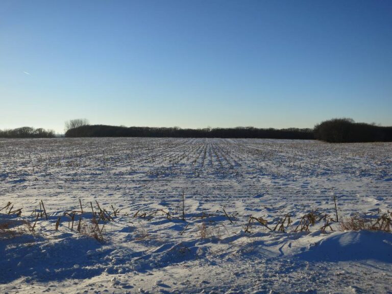 42 Acres offered in two tracts-Parcel A-2810