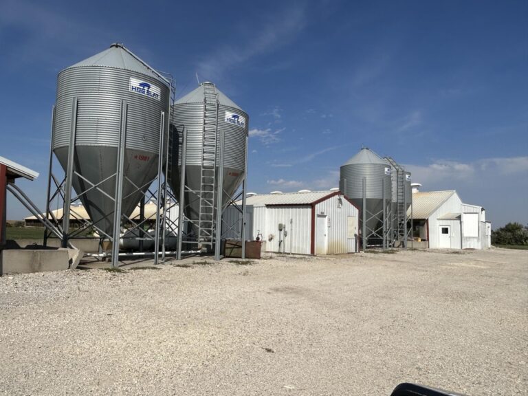 4400 Head Finishing Site-Swine Facility-1695411343