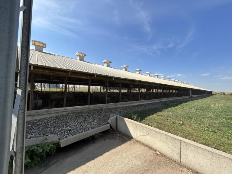 4400 Head Finishing Site-Swine Facility-1695411459