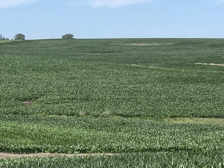 507 Acres m_l-1-1657049426