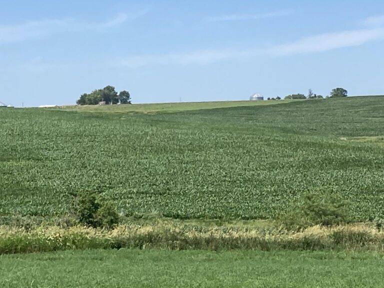 507 Acres m_l-1-1657049442