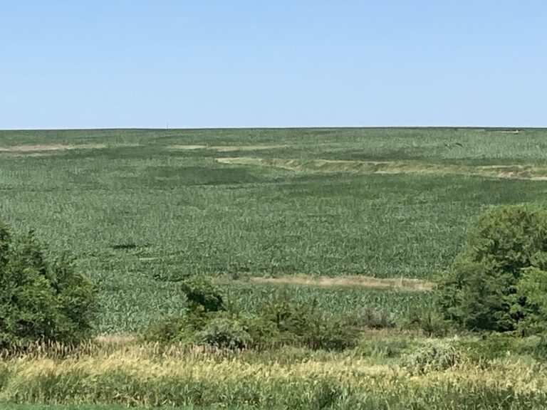 507 Acres m_l-1-1657049458