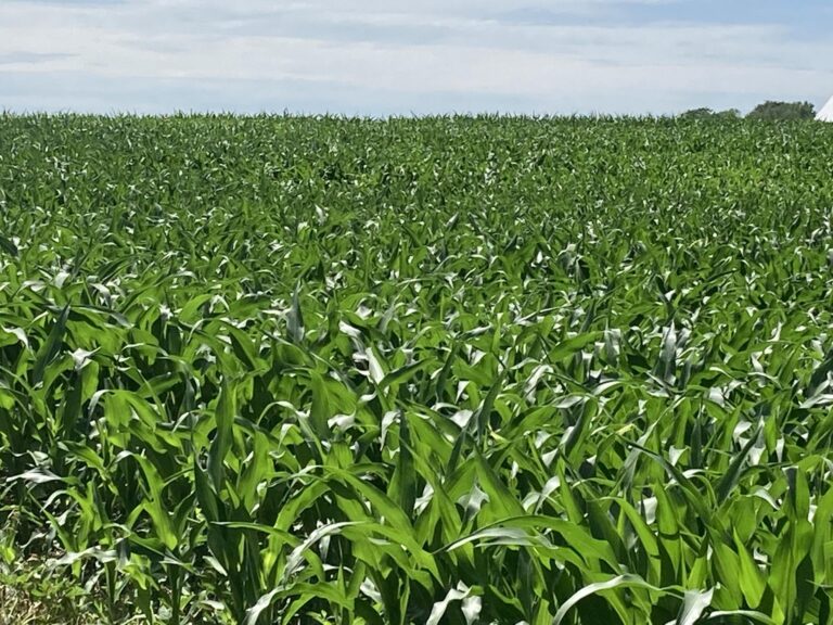 507 Acres m_l-1-1657049470