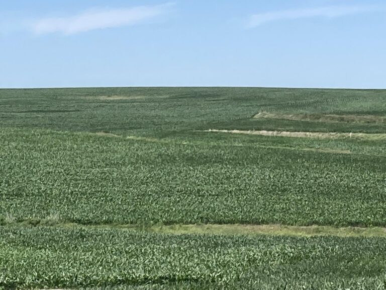 507 Acres m_l-1-1657049483