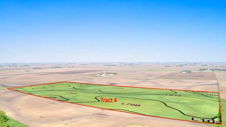 514.89 Ac. m_l - 6 Tracts-Tract 4-1715876324