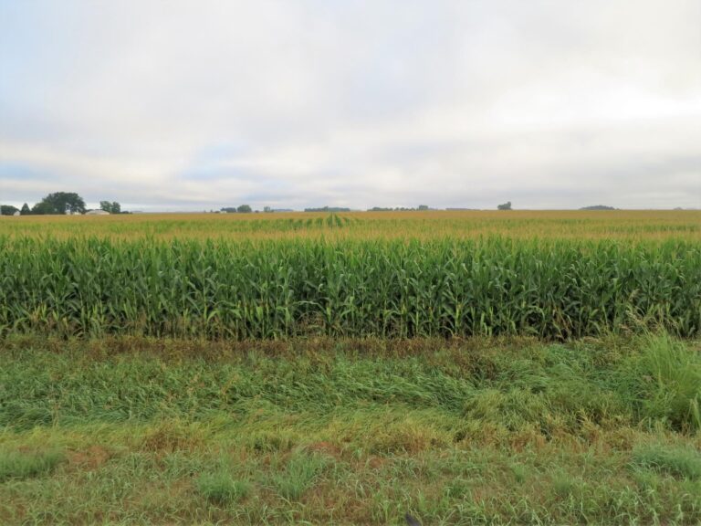 53.35 Surveyed Acres-Photo-1533651512