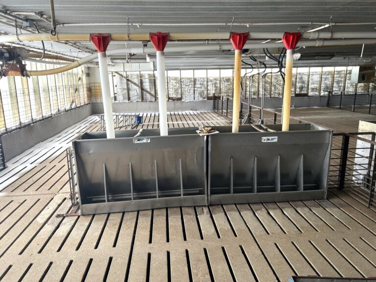 5,300 Head Feeder to Finisher Site-1-1675892983