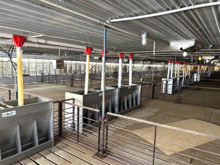 5,300 Head Feeder to Finisher Site-1-1675893001