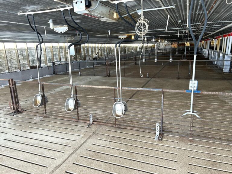5,300 Head Feeder to Finisher Site-1-1675893015