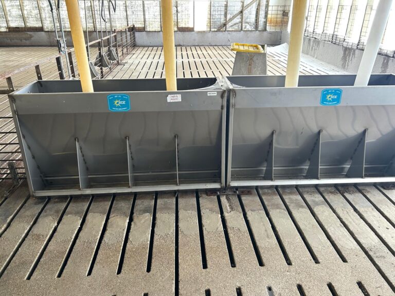 5,300 Head Feeder to Finisher Site-1-1675893032