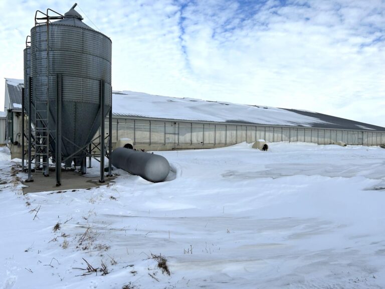 5,300 Head Feeder to Finisher Site-1-1675893195