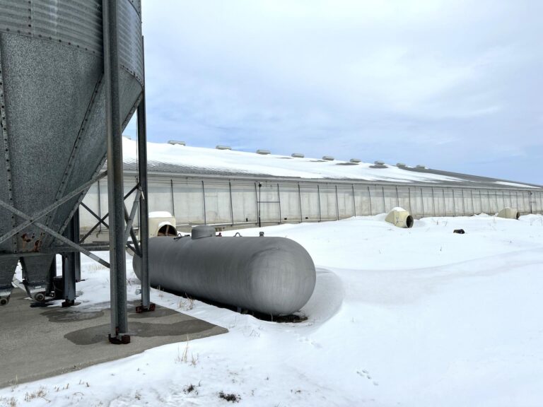 5,300 Head Feeder to Finisher Site-1-1675893292