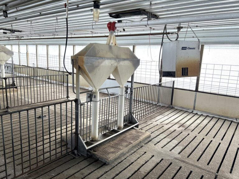 5,300 Head Feeder to Finisher Site-1-1675893515
