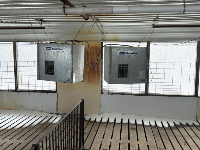 5,300 Head Feeder to Finisher Site-1-1675893699