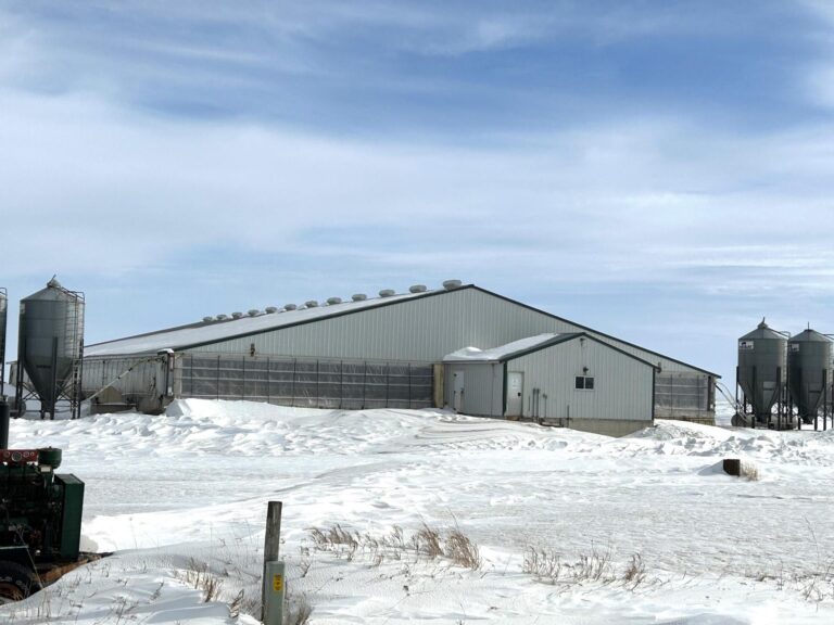 5,300 Head Feeder to Finisher Site-1-1675893714