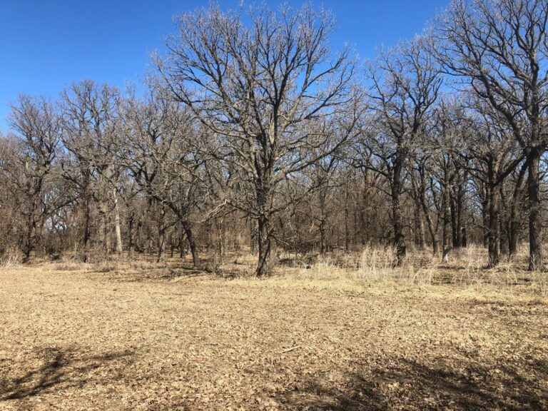 56 Acres m_l-Tract 2-1555684405