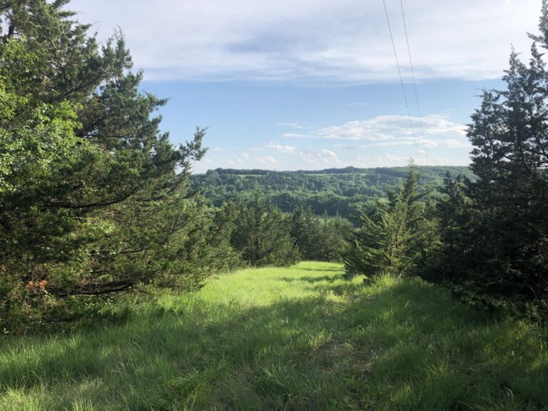 60 Acres Timber-Cullers Timber-1561586224