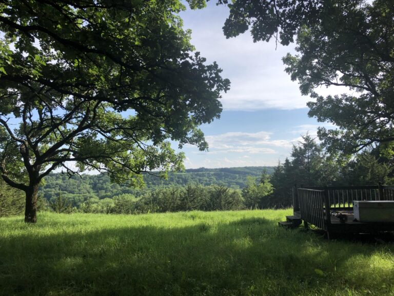 60 Acres Timber-Cullers Timber-1561586288