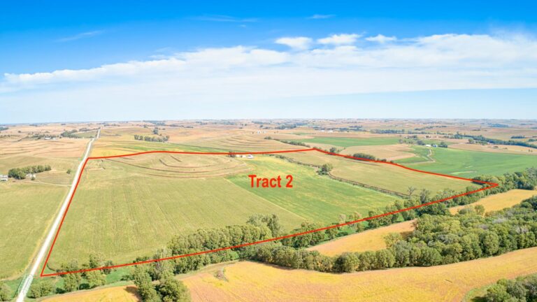 605 Acres m_l - 5 Tracts-Tract 2-1728337759