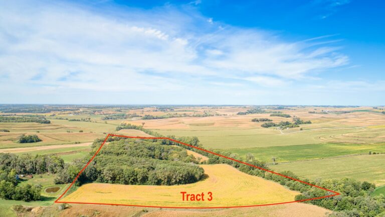 605 Acres m_l - 5 Tracts-Tract 3-1728337975