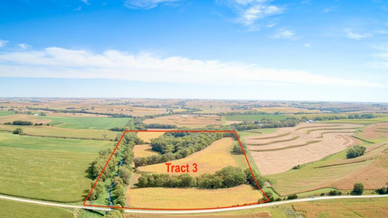 605 Acres m_l - 5 Tracts-Tract 3-1729279330