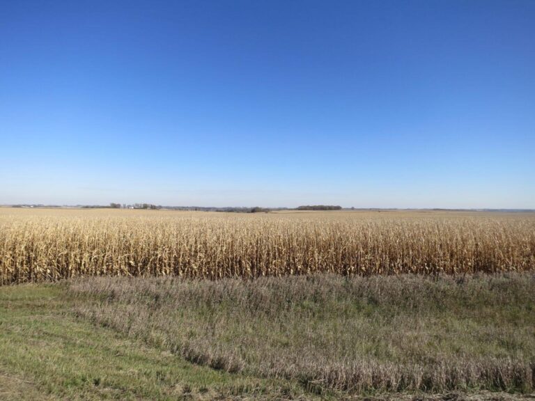 79 Acres-Johannsen Photo-1509383402