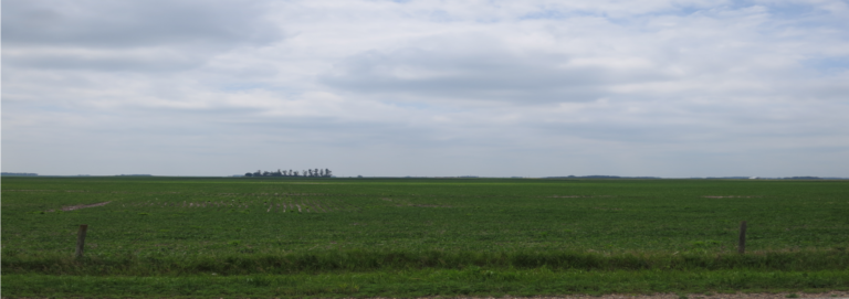 80 Acres-Nelson Photo-1511287129