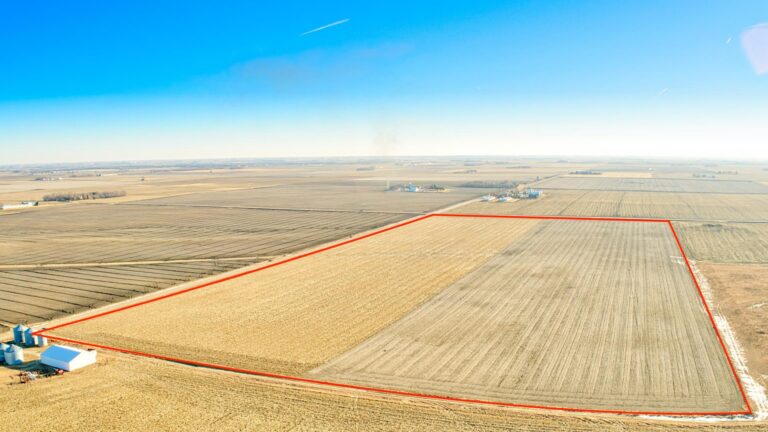 80 Acres m_l-1-1646326767