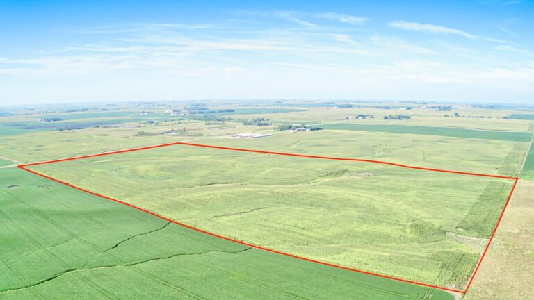 80 Acres m_l-1-1726254861