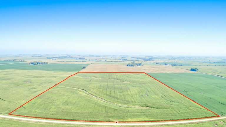 80 Acres m_l-1-1726254885