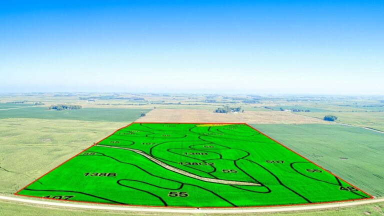 80 Acres m_l-1-1726254913