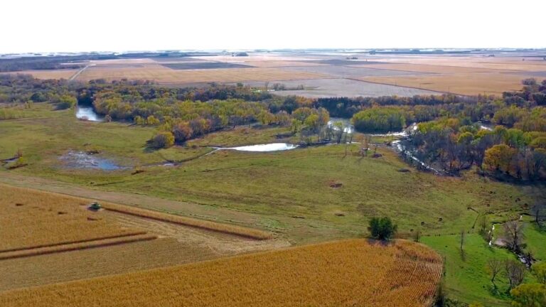 84 Acres Timber & Pasture-1-1580251520
