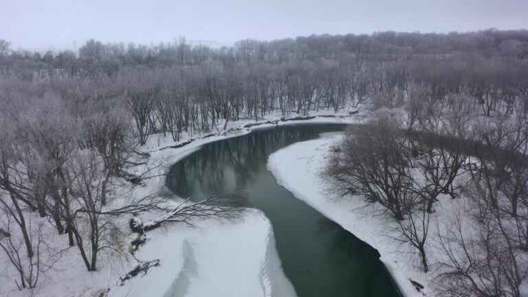 84 Acres Timber & Pasture-2-1580251728