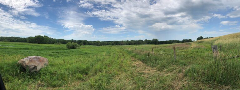 84 Acres Timber & Pasture-Photo-1563482823