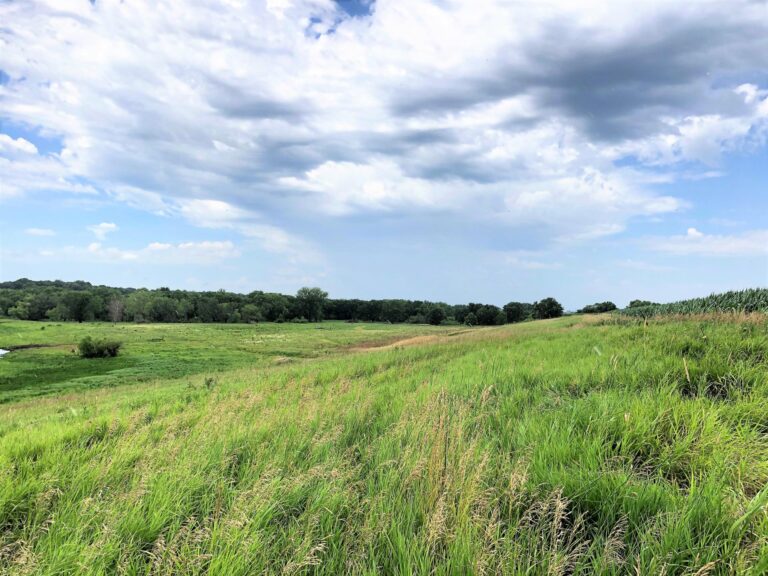 84 Acres Timber & Pasture-Photo-1563482914