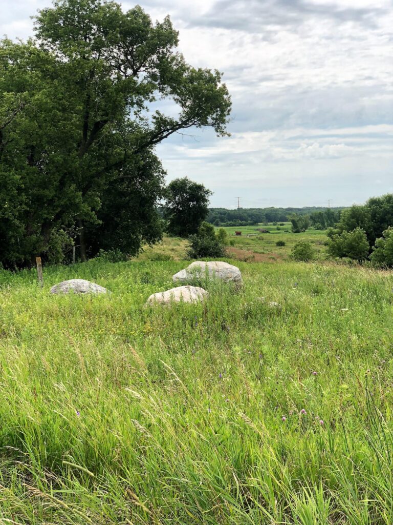 84 Acres Timber & Pasture-Photo-1563482935