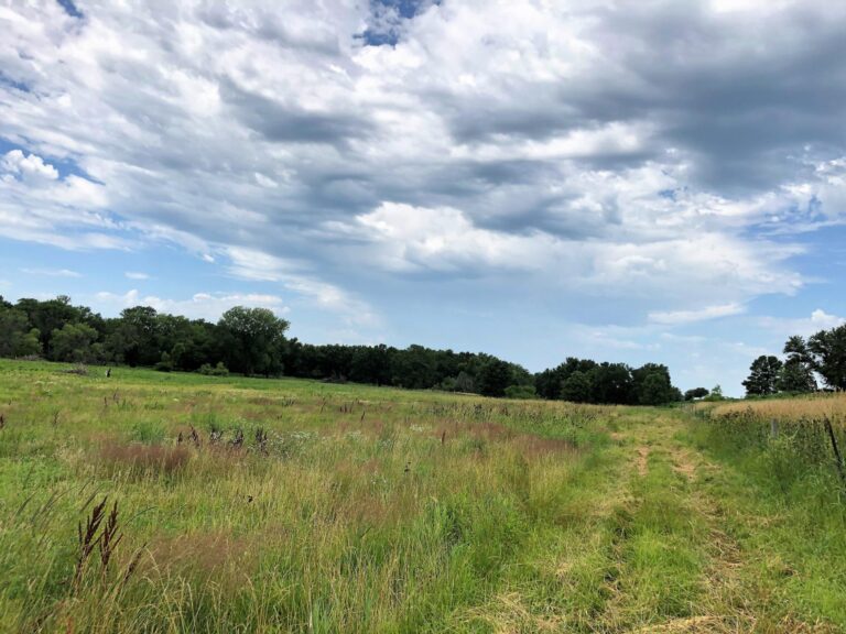 84 Acres Timber & Pasture-Photo-1563482958