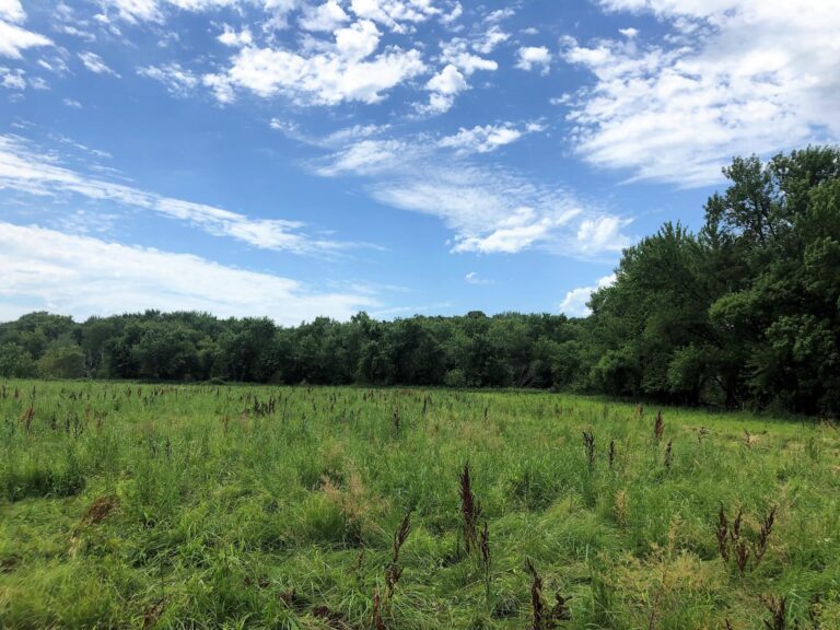 84 Acres Timber & Pasture-Photo-1563482984