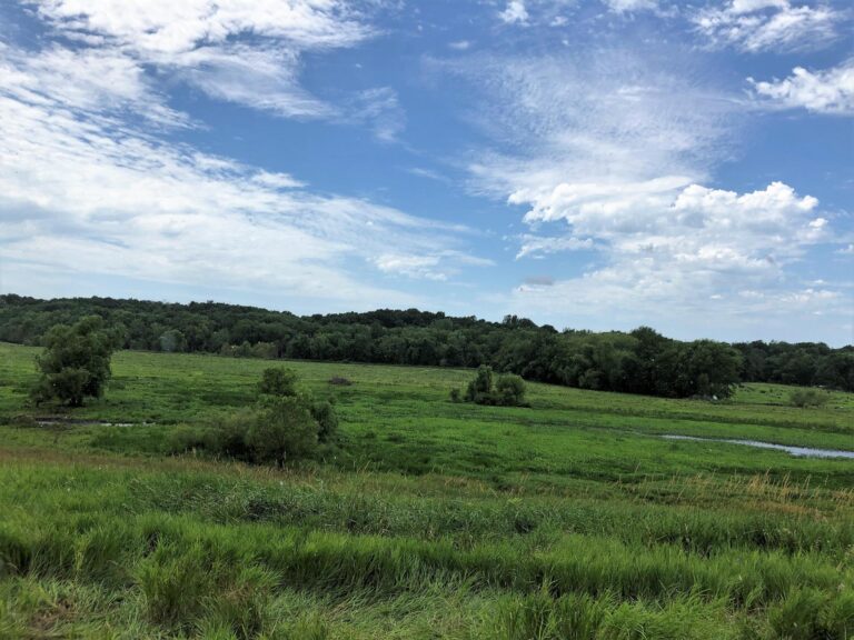84 Acres Timber & Pasture-Photo-1563483092