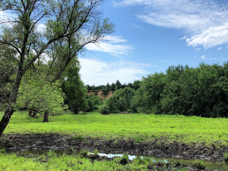 84 Acres Timber & Pasture-Photo-1563483138