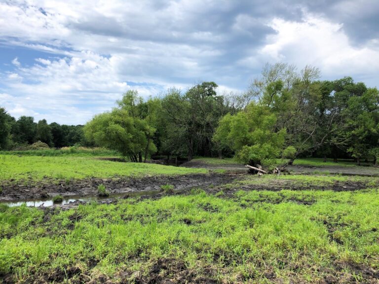 84 Acres Timber & Pasture-Photo-1563483158