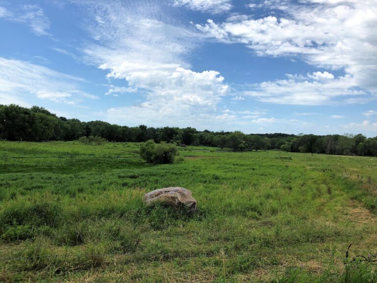 84 Acres Timber & Pasture-Photo-1563483188