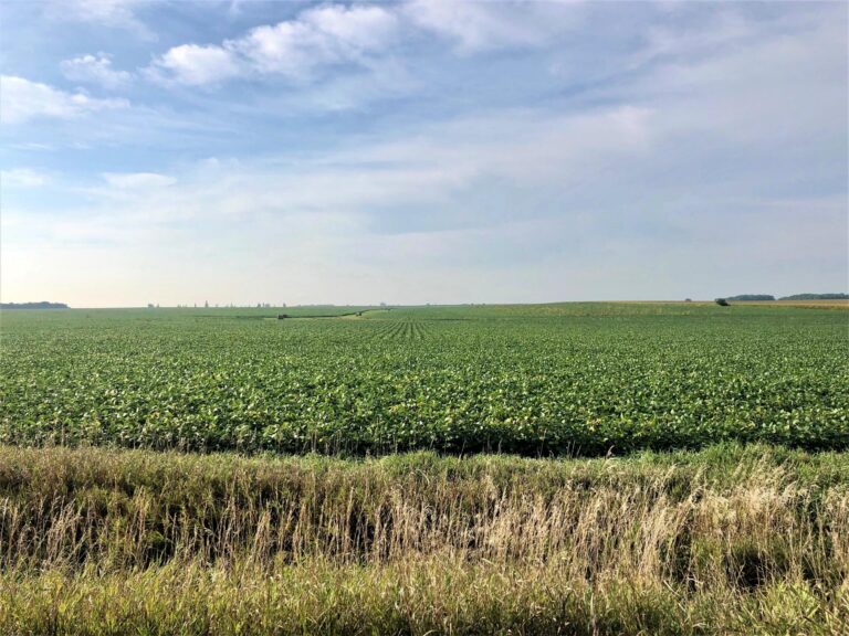 87.7 Surveyed Acres-maurer-1570026184